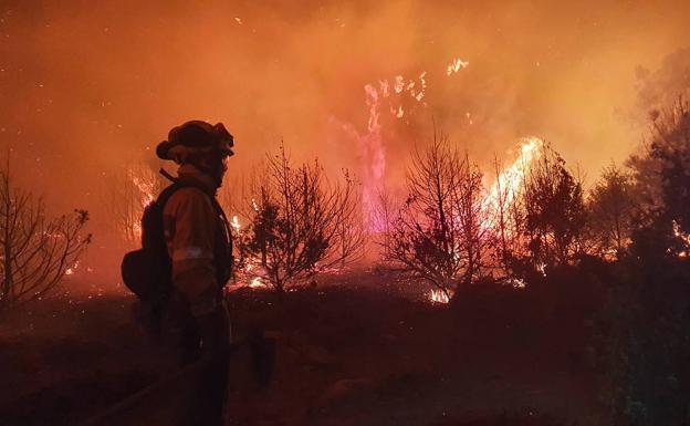 Imagen del segundo día del incendio. Video: los estragos del fuego vistos desde el aire.