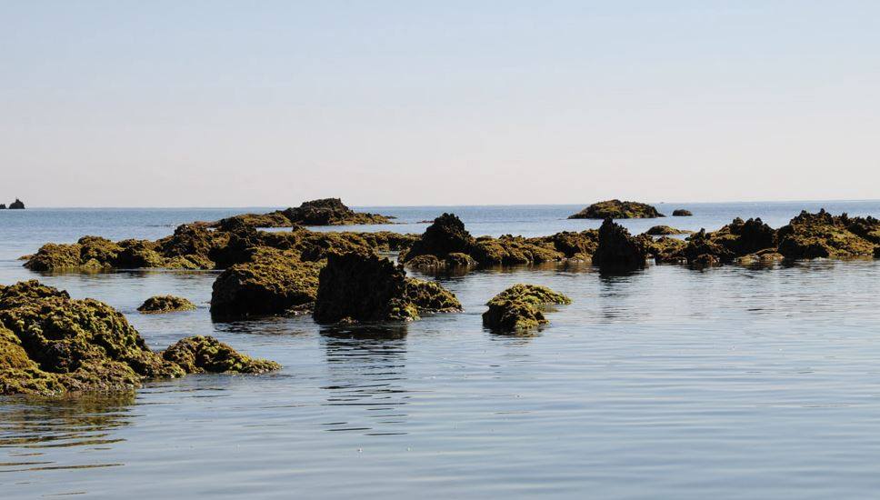 Playa de Trengandín. Noja