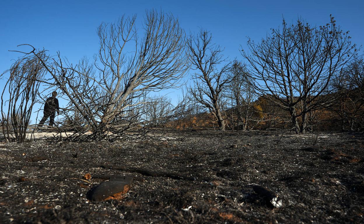 Efectos del incendio declarado el pasado viernes 6 de agosto entre las localidades abulenses de El Tiemblo y Cebreros.