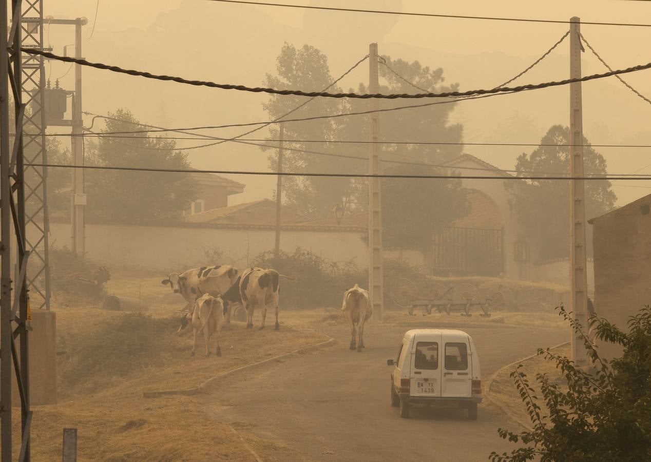 Fotos: El incendio forestal de Navalacruz obliga a desalojar varios pueblos de Ávila