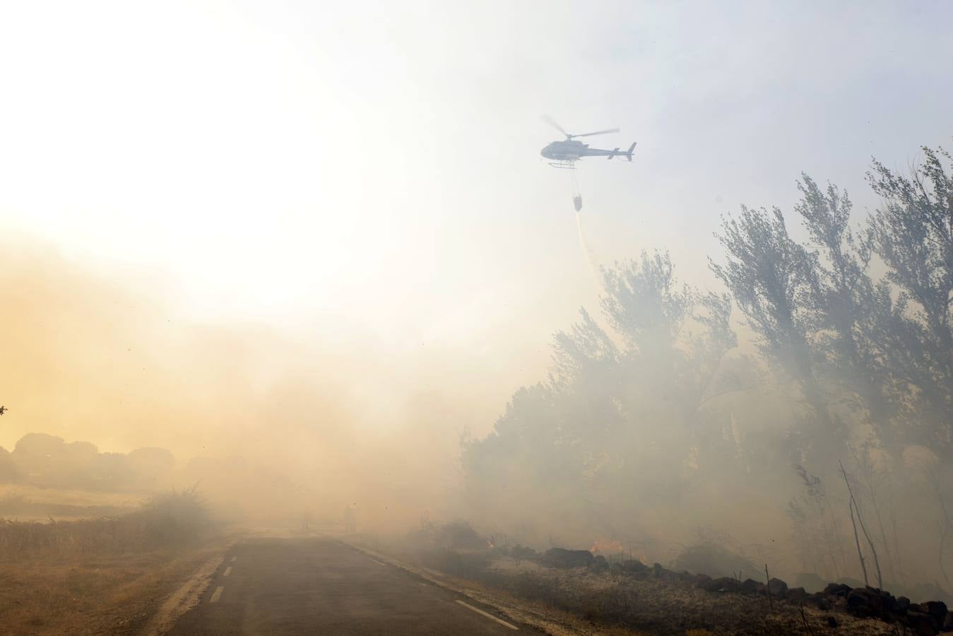 Fotos: El incendio forestal de Navalacruz obliga a desalojar varios pueblos de Ávila