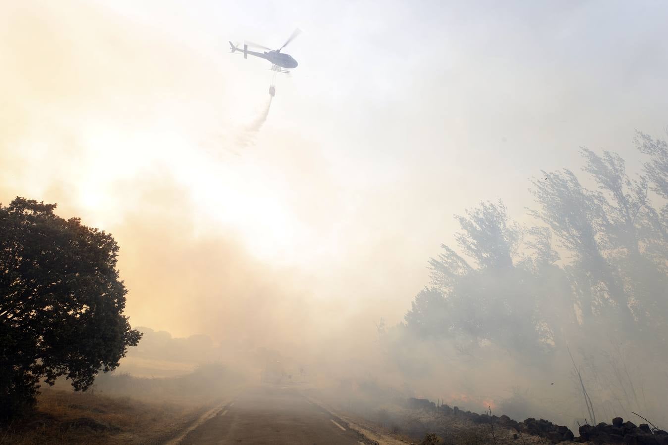 Fotos: El incendio forestal de Navalacruz obliga a desalojar varios pueblos de Ávila