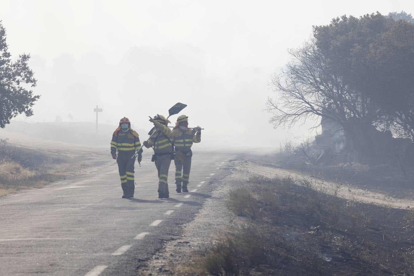 Fotos: El incendio forestal de Navalacruz obliga a desalojar varios pueblos de Ávila