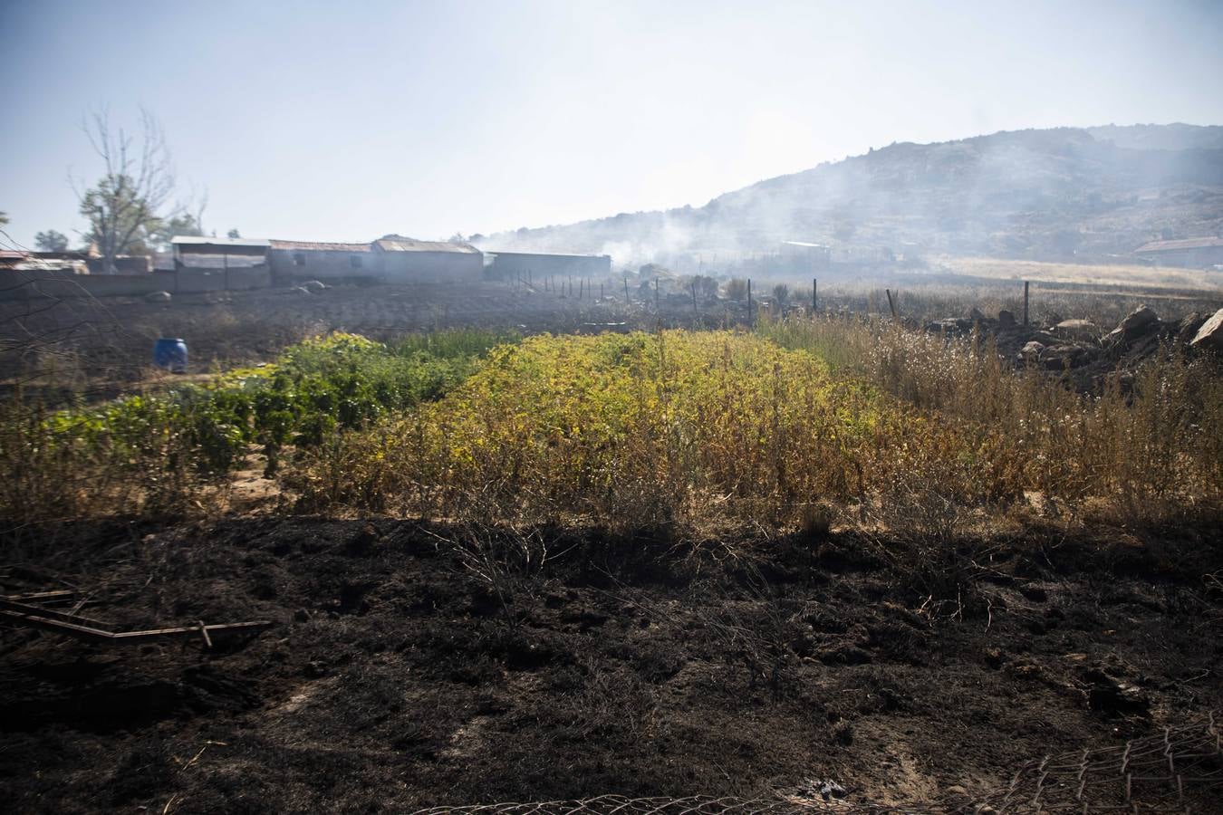 Fotos: Los vecinos desalojados por el incendio de Navalacruz regresan a sus casas