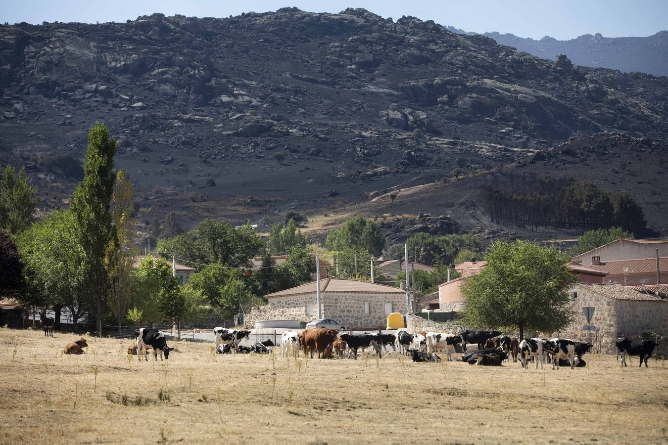 Fotos: Los vecinos desalojados por el incendio de Navalacruz regresan a sus casas