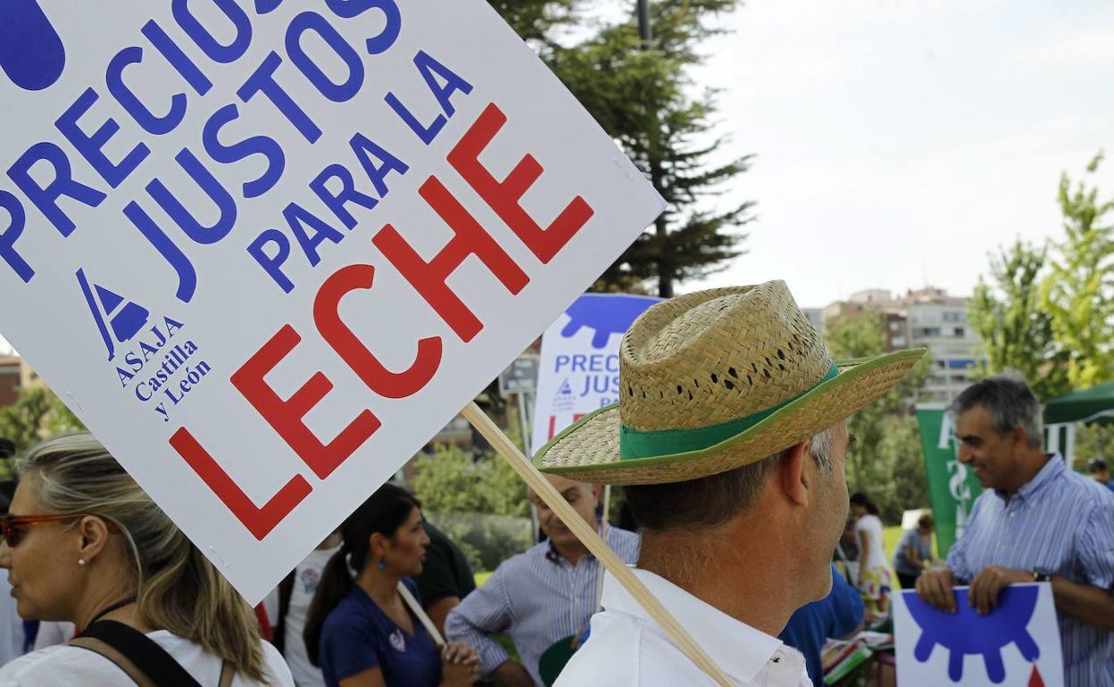 Imagen de archivo de una protesta por los precios de la leche en Valladolid. 