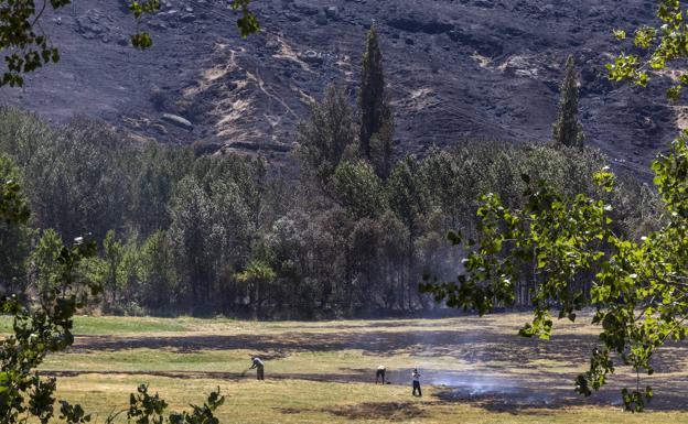 SEO/Birdlife advierte de que el fuego de Navalacruz ha afectado a zonas protegidas