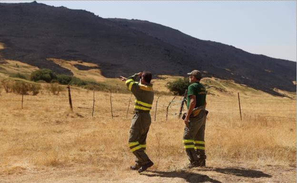 Forestales realizan trabajos de perimetración en el incendio de Navalacruz. 