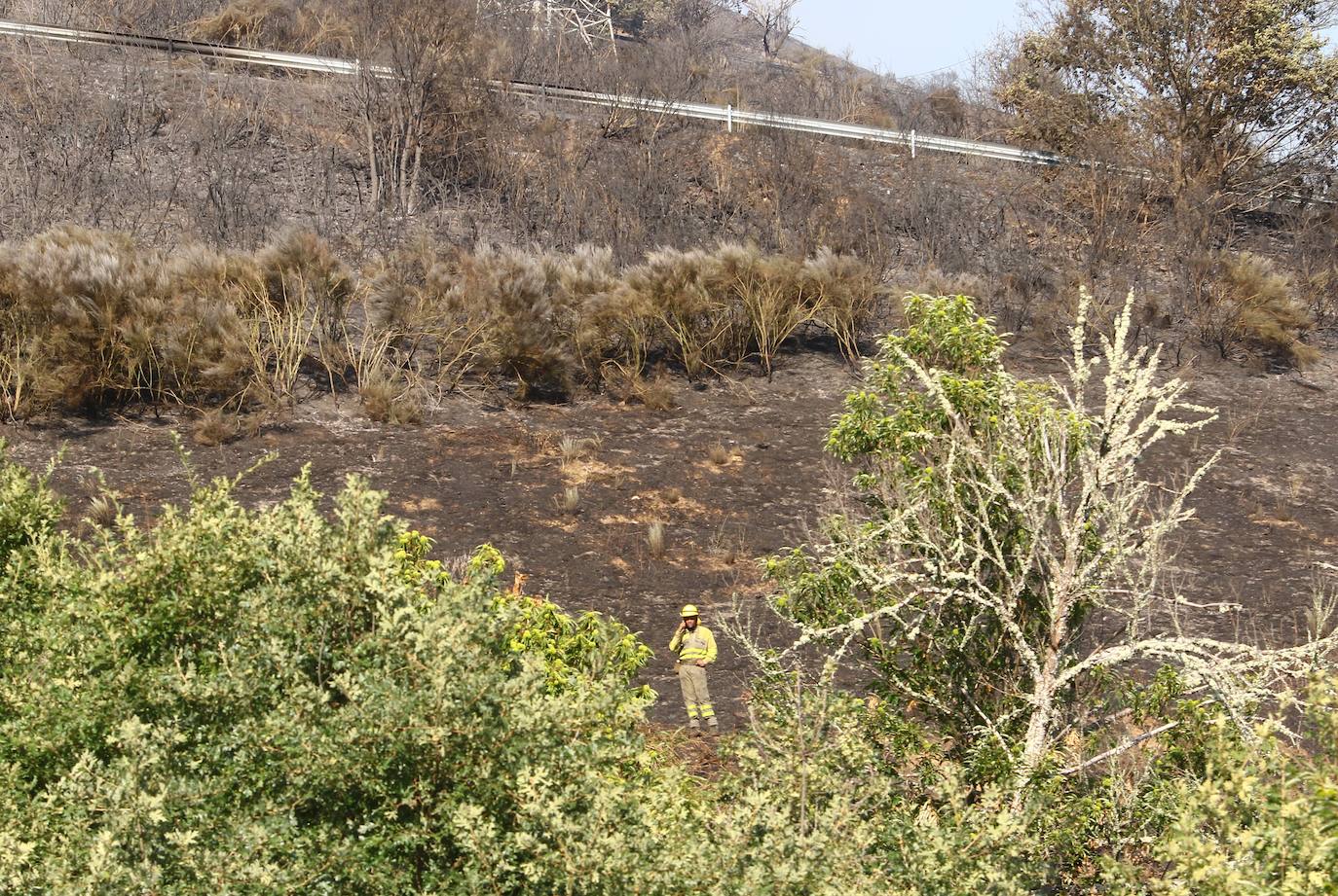 Incendio en la localidad de Trabadelo, León.