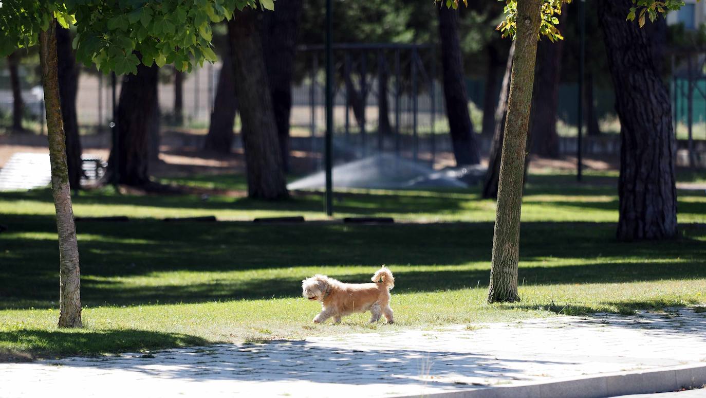 Este distrito vallisoletano se encuentra a las afueras de la ciudad, colindante a la avenida Zamora y la VA-30