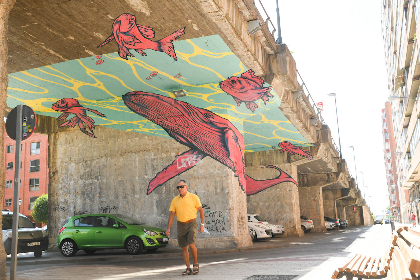 Los murales que lucen en algunas fachadas de Valladolid.