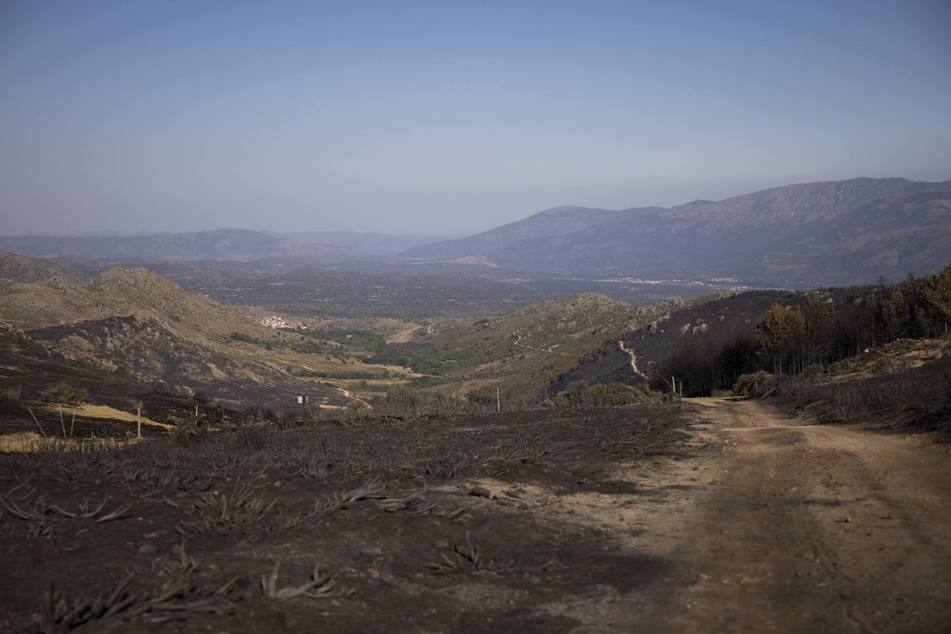 La zona afectada por el incendio de Navalacruz. 