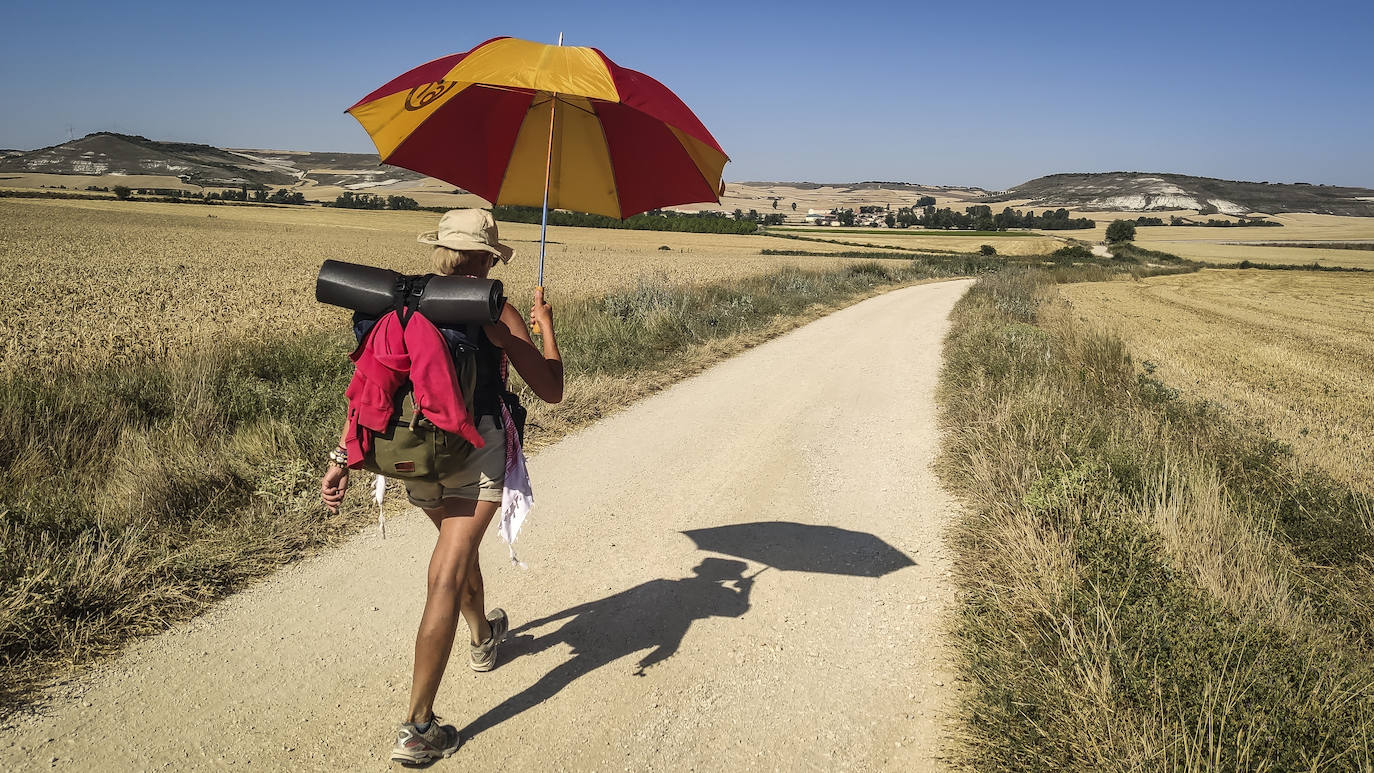 Pilar enfila la pista que conecta Rabé de las Calzadas y Hontanas, un secarral donde el calor te tritura y donde escasean los árboles que den sombra. Con ese paraguas es difícil perderle la pista.