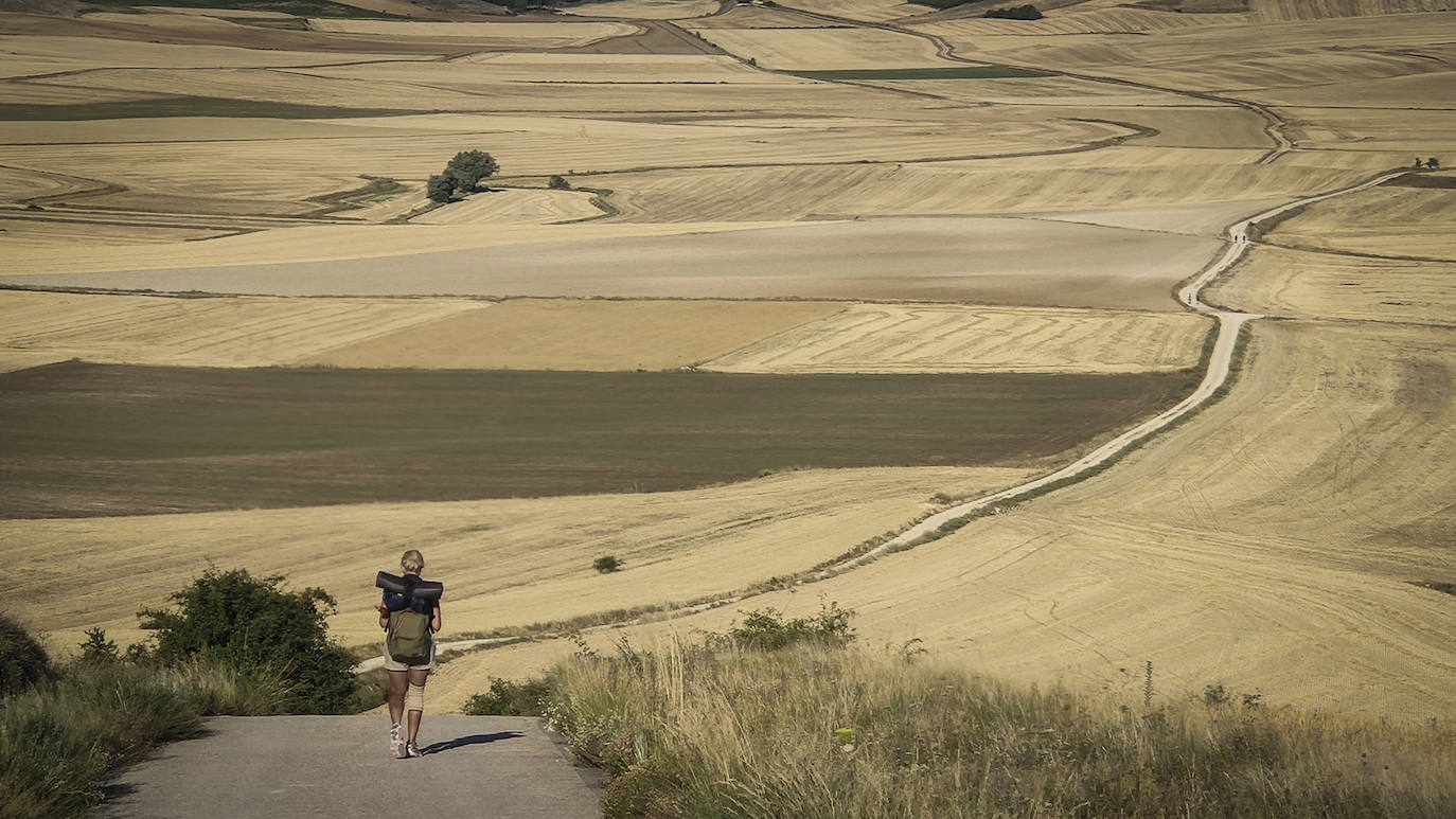 “Ancha es Castilla”, que decía Azorín. Pilar no se arruga y trata de poner tierra de por medio, sabedora de que con el calor achicharrante no se negocia. Le quedan 20 kilómetros hasta Boadilla del Camino. ‘Ultreia et suseia’.