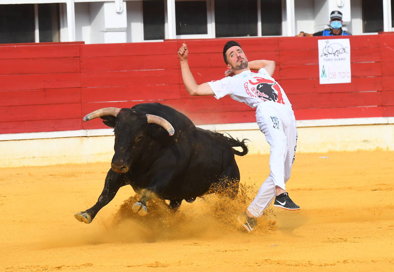 Concurso de cortes de Medina del Campo.