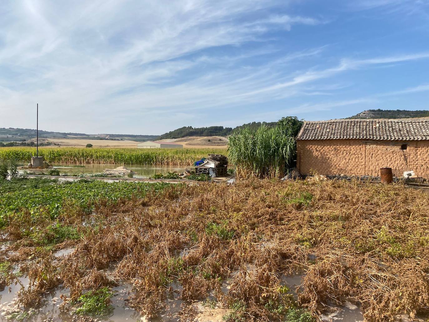 Estado de la zona afectada tras el reventón de una tubería en el canal de Riaza, en Valbuena de Duero.