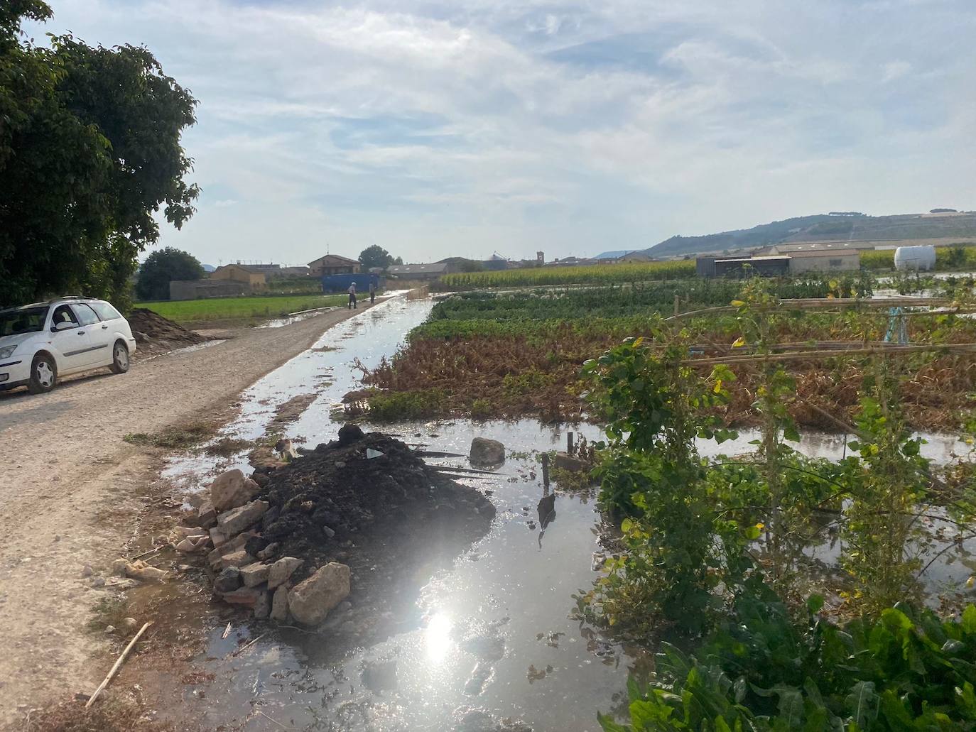 Estado de la zona afectada tras el reventón de una tubería en el canal de Riaza, en Valbuena de Duero.