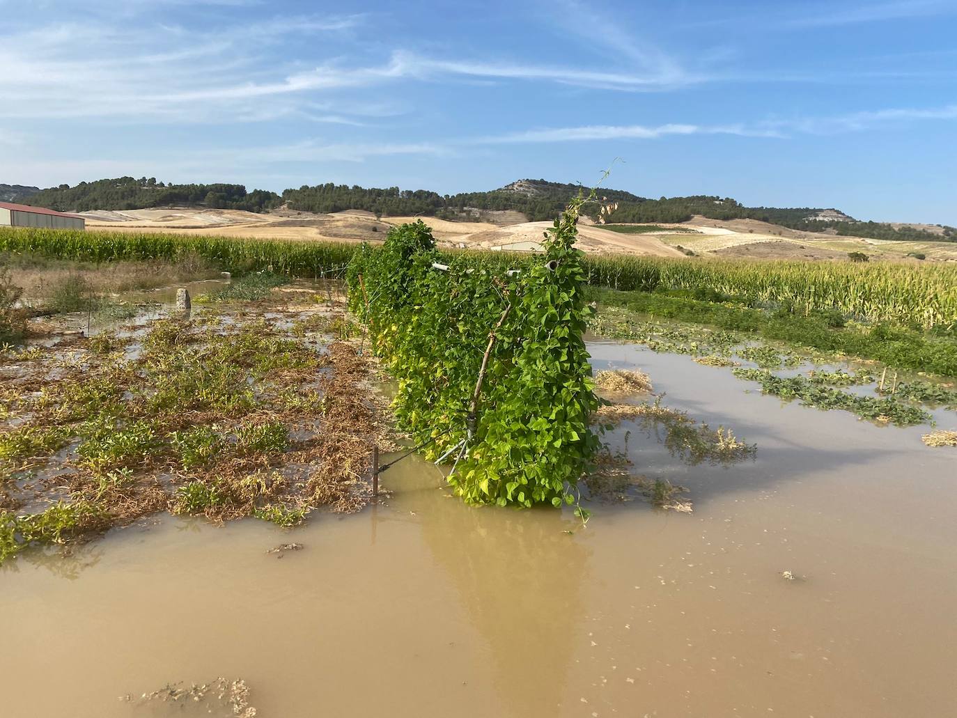 Estado de la zona afectada tras el reventón de una tubería en el canal de Riaza, en Valbuena de Duero.