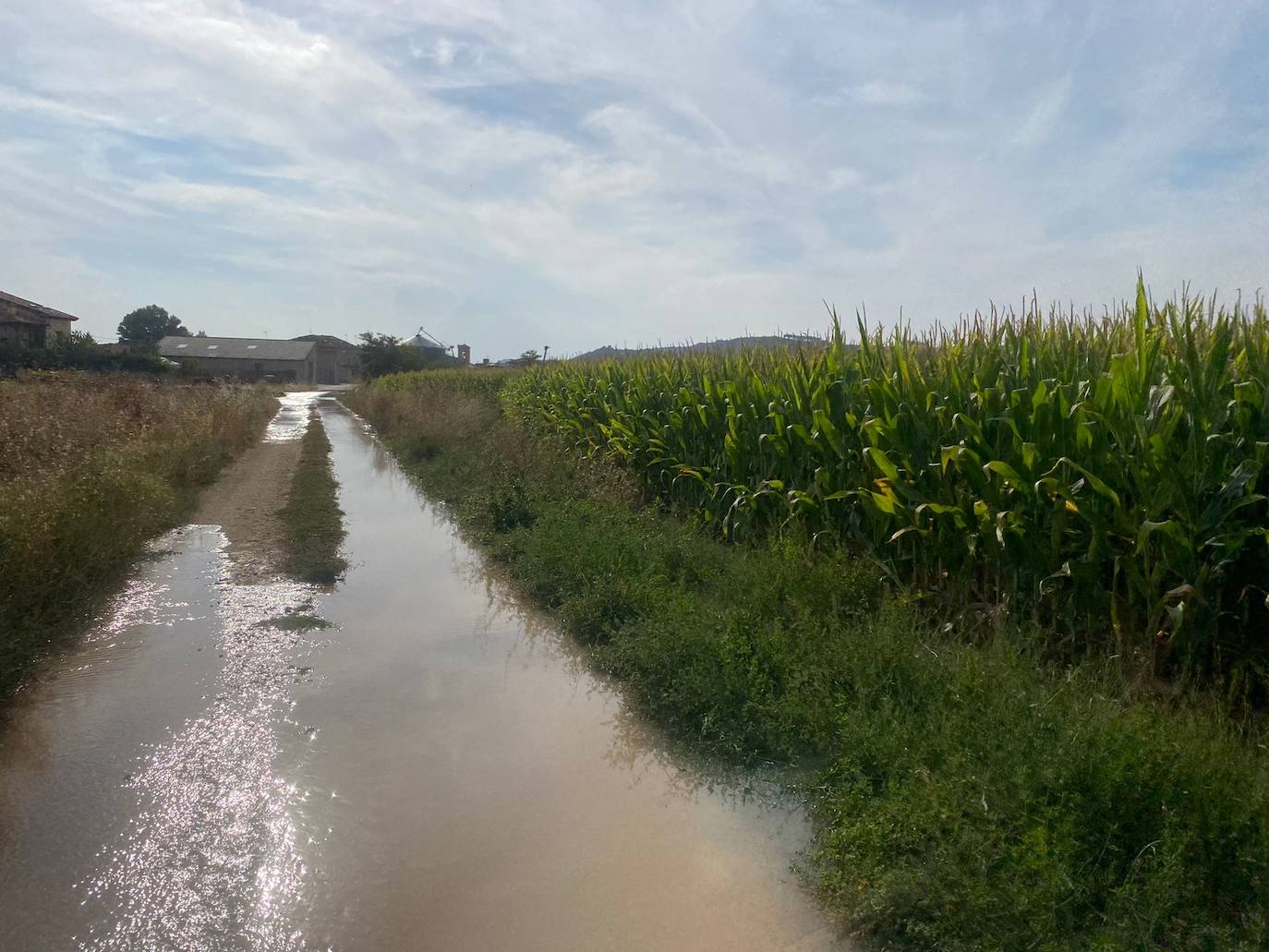 Estado de la zona afectada tras el reventón de una tubería en el canal de Riaza, en Valbuena de Duero.