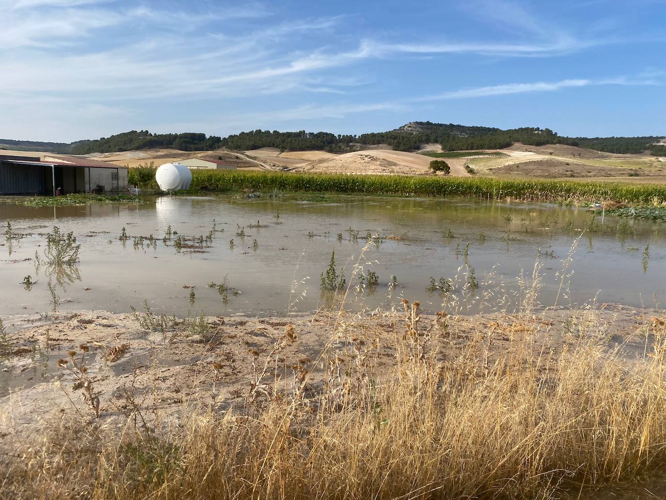 Estado de la zona afectada tras el reventón de una tubería en el canal de Riaza, en Valbuena de Duero.
