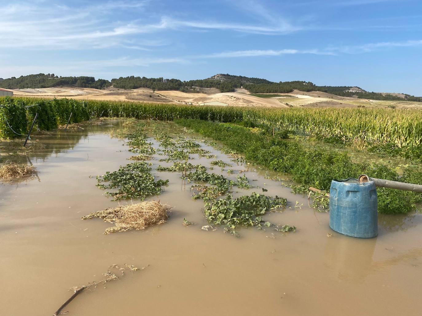 Estado de la zona afectada tras el reventón de una tubería en el canal de Riaza, en Valbuena de Duero.