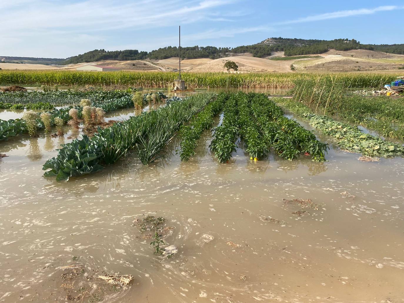 Estado de la zona afectada tras el reventón de una tubería en el canal de Riaza, en Valbuena de Duero.