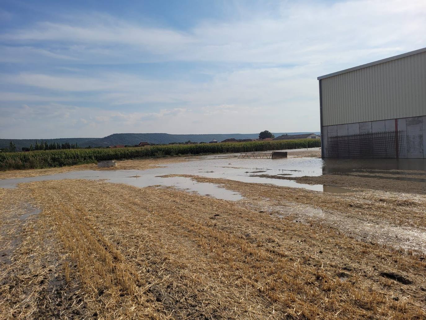 Estado de la zona afectada tras el reventón de una tubería en el canal de Riaza, en Valbuena de Duero.