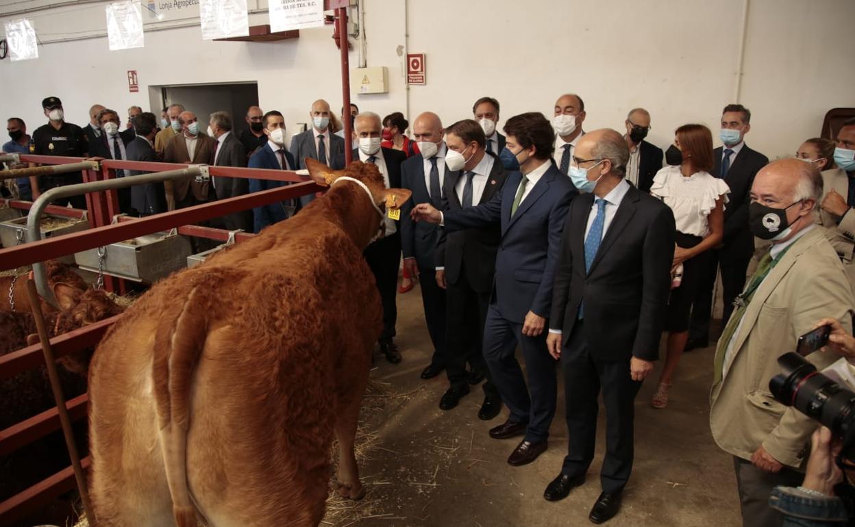 Salamaq, primera gran feria agrícola y ganadera que retoma la actividad. 