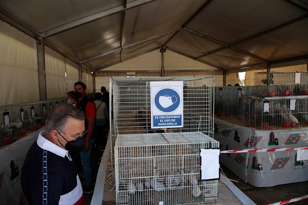 Salamaq, primera gran feria agrícola y ganadera que retoma la actividad tras la pandemia