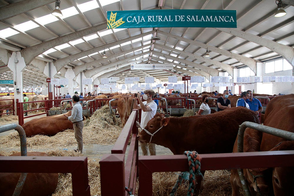 Salamaq, primera gran feria agrícola y ganadera que retoma la actividad tras la pandemia