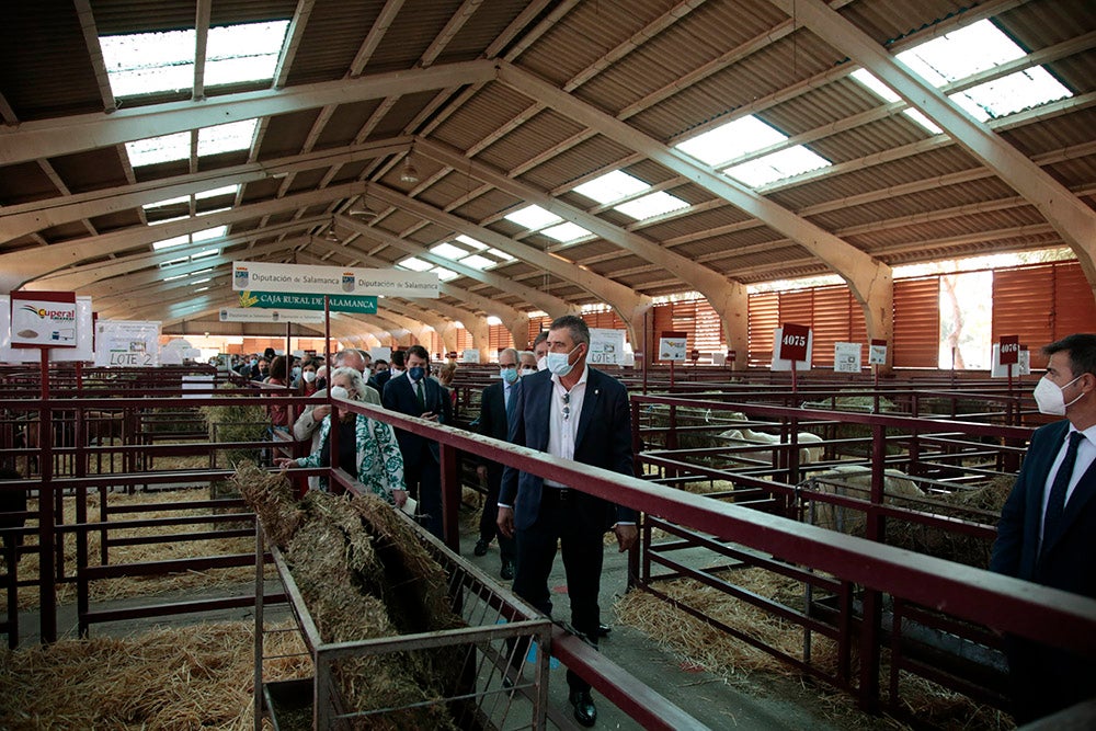 Salamaq, primera gran feria agrícola y ganadera que retoma la actividad tras la pandemia