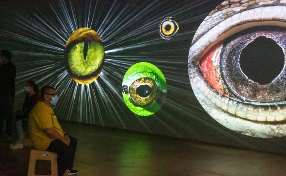 Varios viasitantes observan las pantallas gigantes durante una de las jornadas de puertas abiertas en el Museo del Agua. 