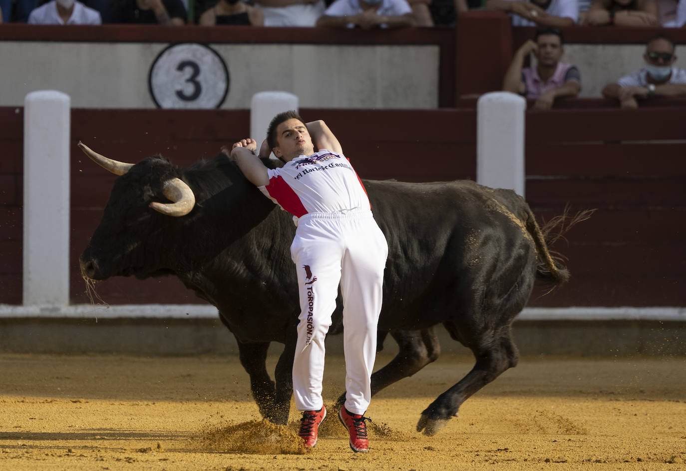 Fotos: Cortes. Liga del Corte Puro en la Plaza de Toros de Valladolid