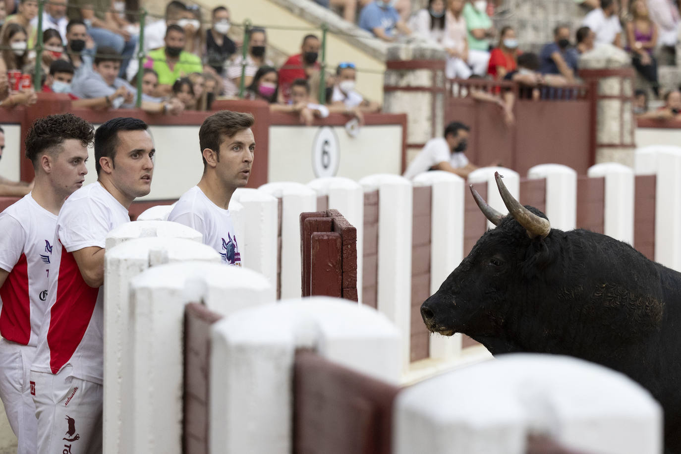 Fotos: Cortes. Liga del Corte Puro en la Plaza de Toros de Valladolid