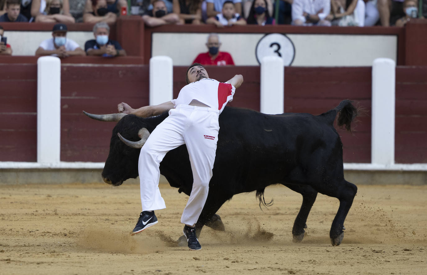 Fotos: Cortes. Liga del Corte Puro en la Plaza de Toros de Valladolid