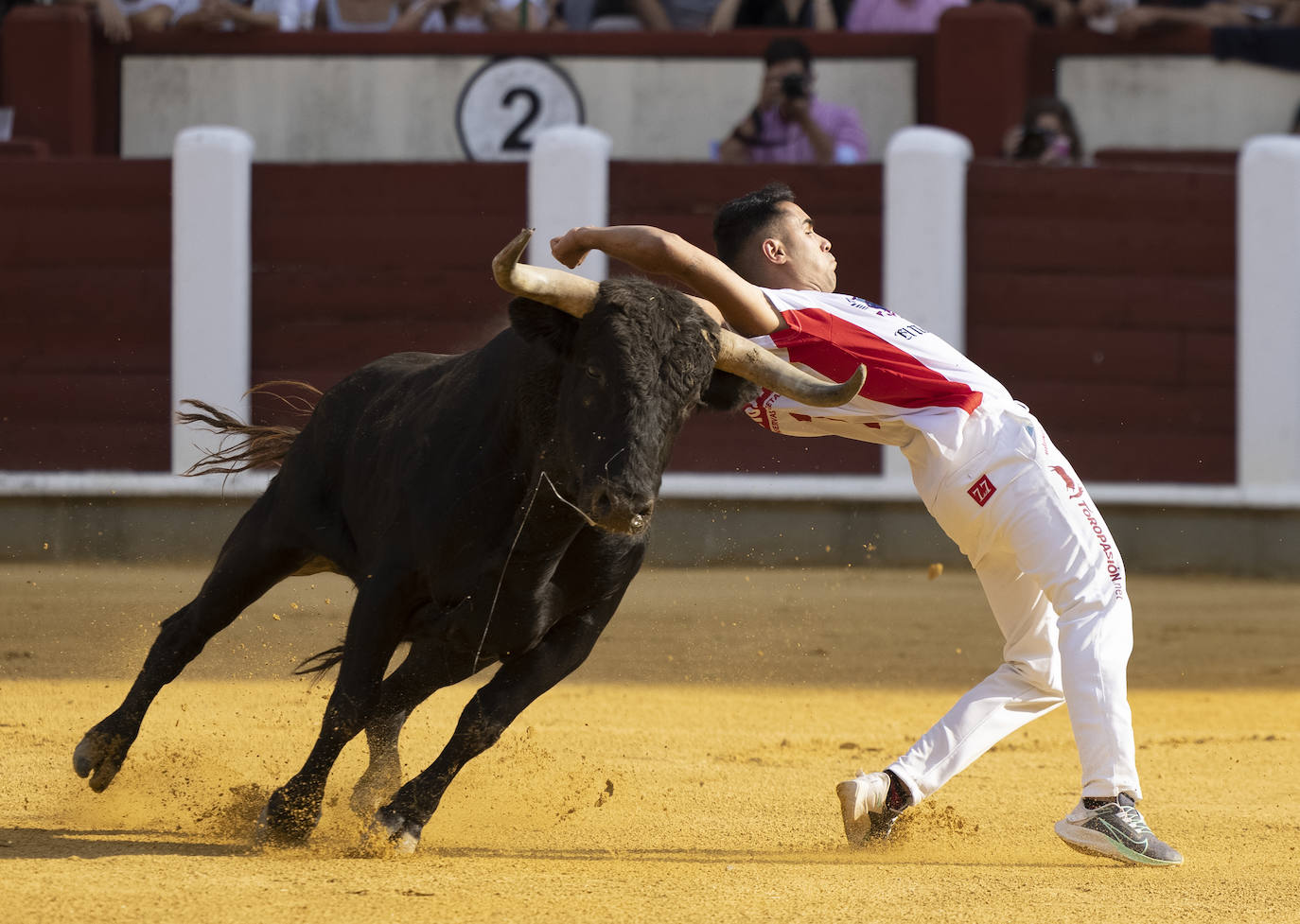 Fotos: Cortes. Liga del Corte Puro en la Plaza de Toros de Valladolid