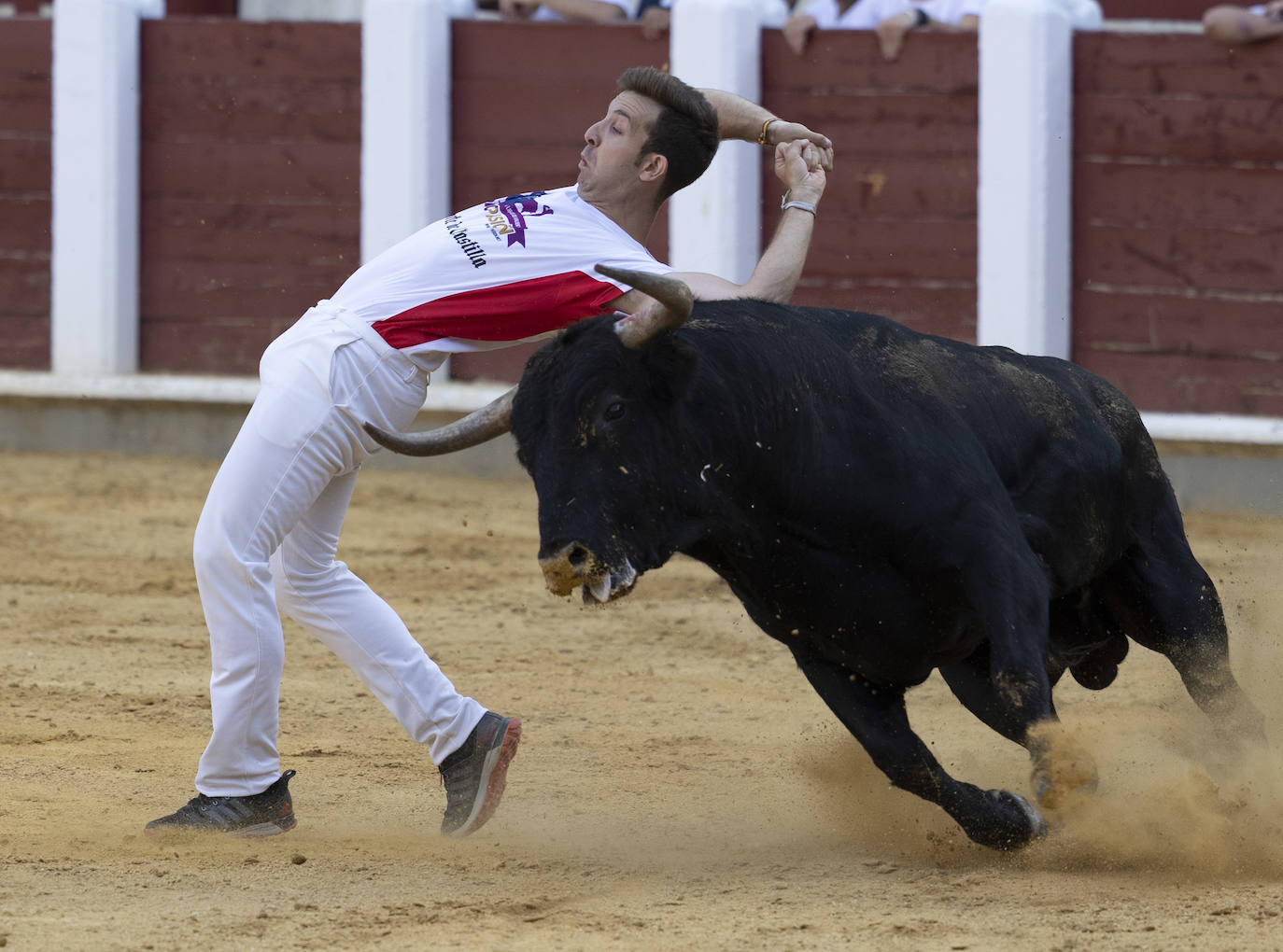 Fotos: Cortes. Liga del Corte Puro en la Plaza de Toros de Valladolid