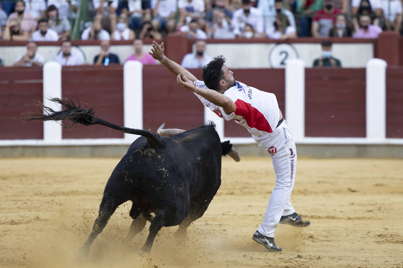 Fotos: Cortes. Liga del Corte Puro en la Plaza de Toros de Valladolid