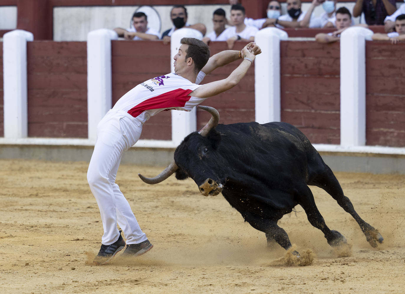 Fotos: Cortes. Liga del Corte Puro en la Plaza de Toros de Valladolid