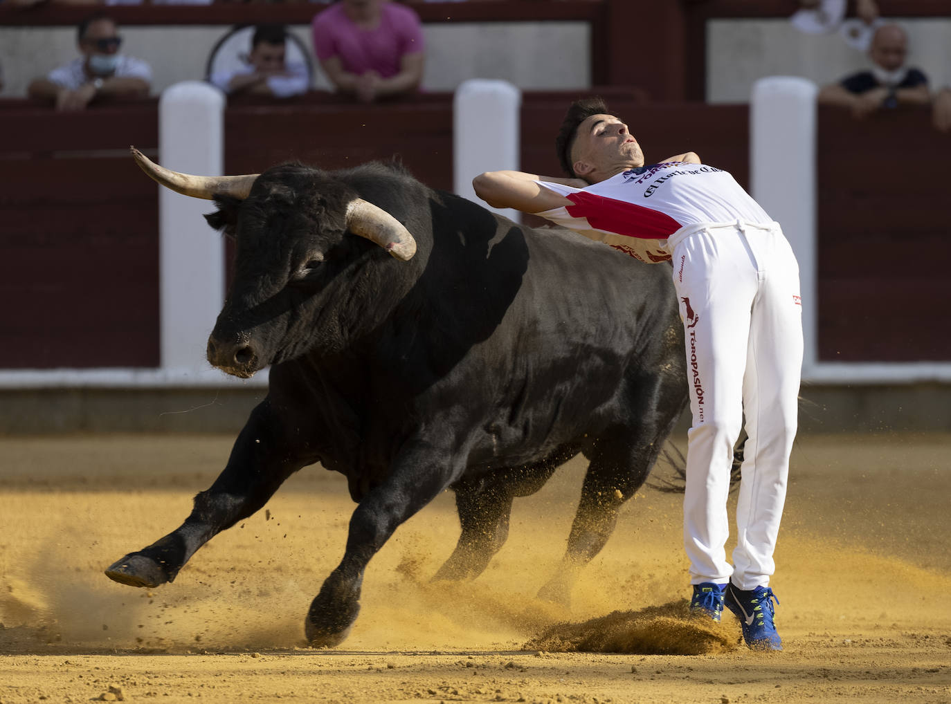 Fotos: Cortes. Liga del Corte Puro en la Plaza de Toros de Valladolid