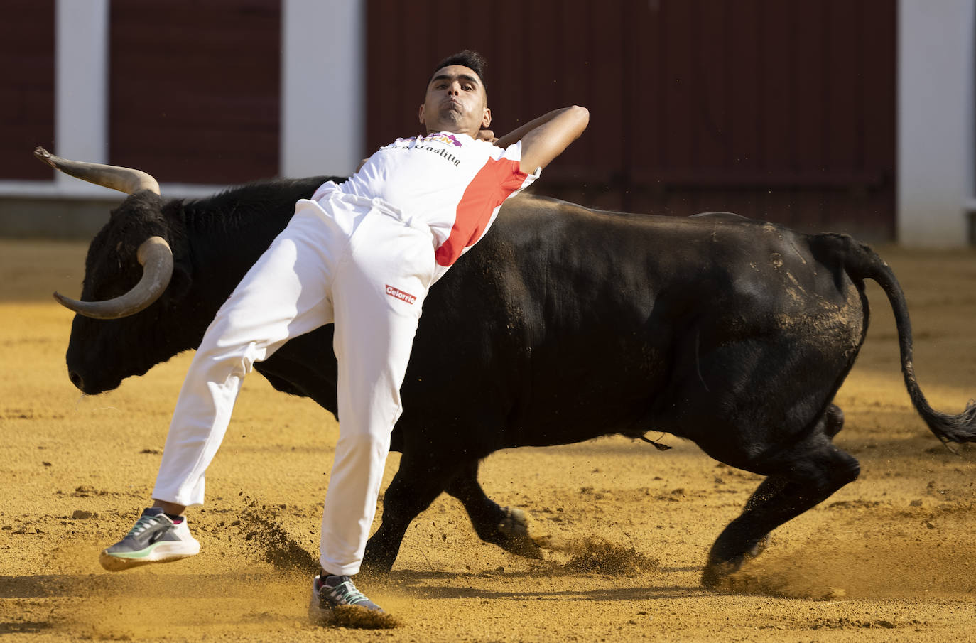 Fotos: Cortes. Liga del Corte Puro en la Plaza de Toros de Valladolid