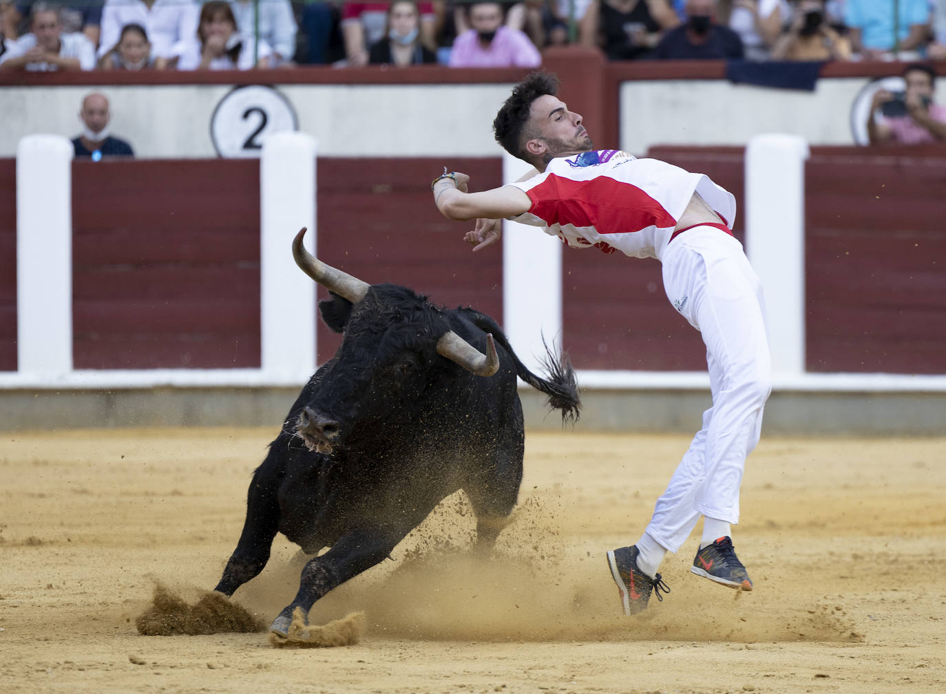 Fotos: Cortes. Liga del Corte Puro en la Plaza de Toros de Valladolid