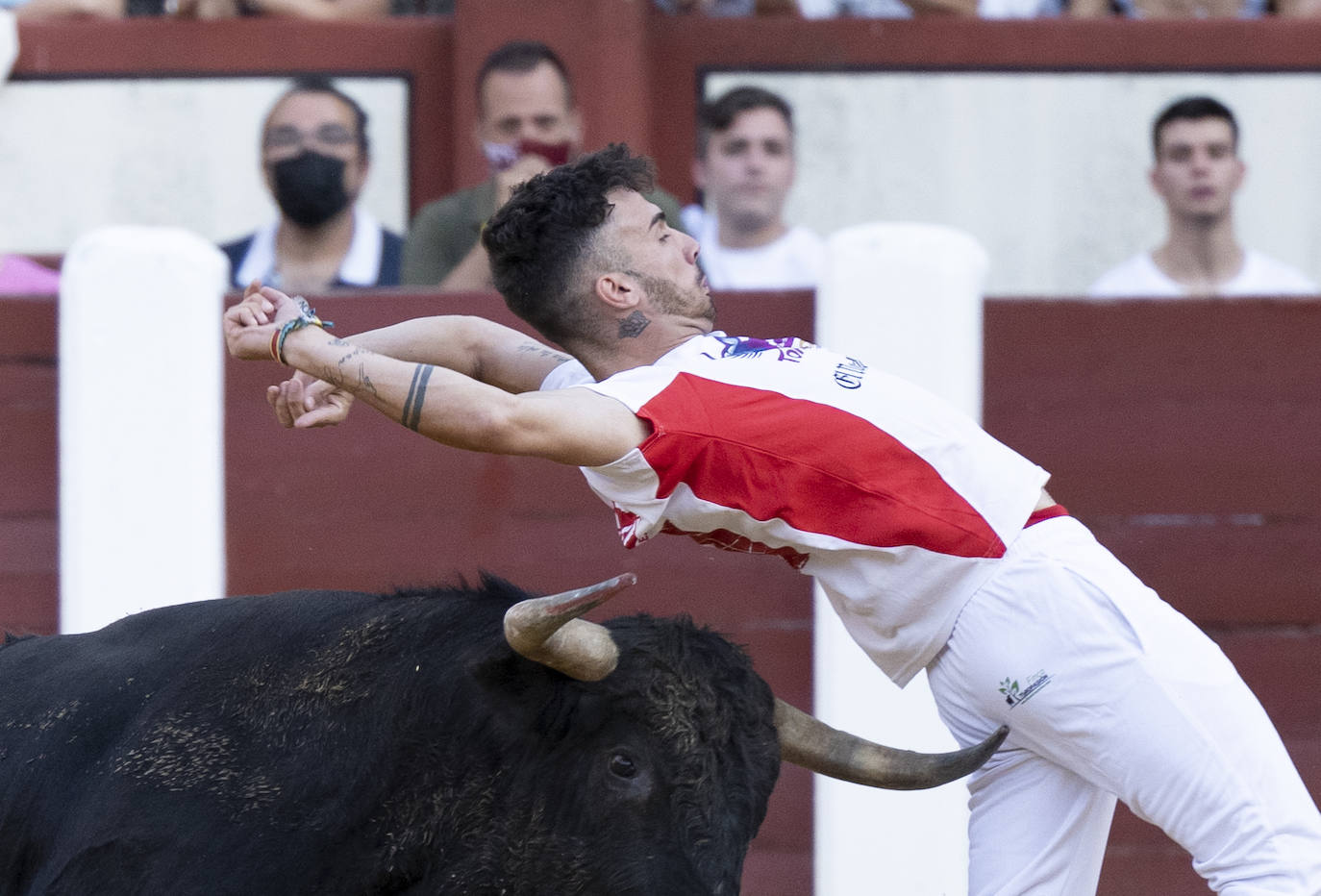 Fotos: Cortes. Liga del Corte Puro en la Plaza de Toros de Valladolid
