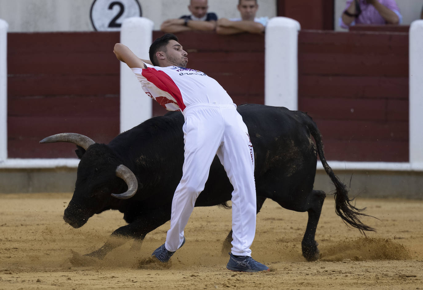 Fotos: Cortes. Liga del Corte Puro en la Plaza de Toros de Valladolid