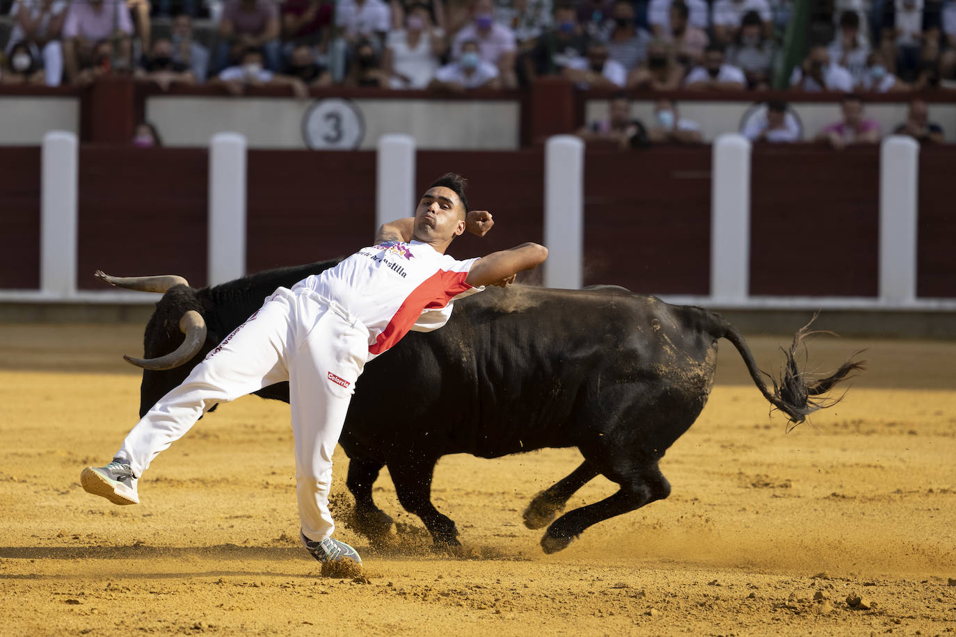 Fotos: Cortes. Liga del Corte Puro en la Plaza de Toros de Valladolid