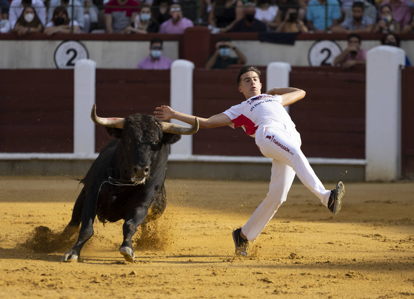 Fotos: Cortes. Liga del Corte Puro en la Plaza de Toros de Valladolid