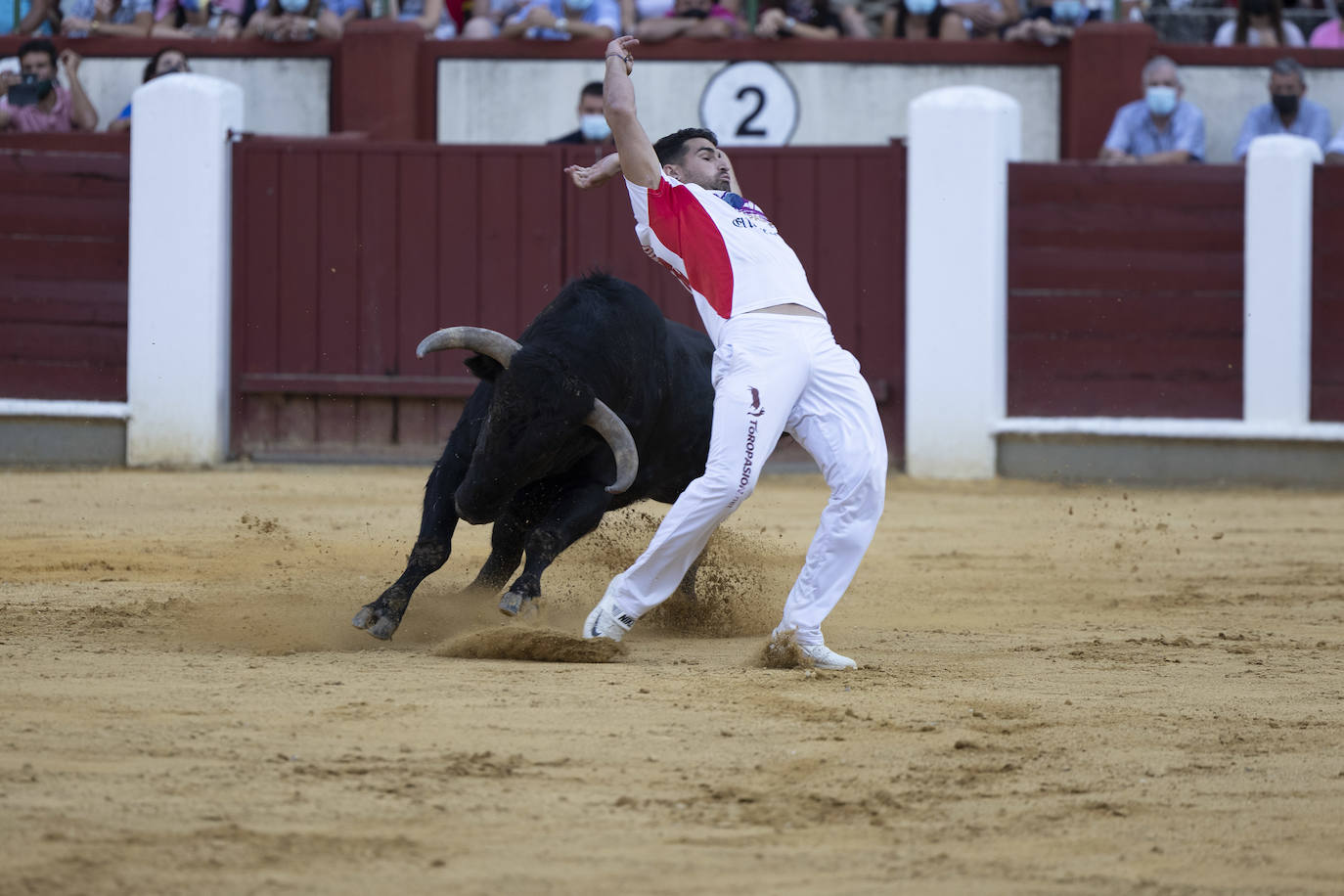 Fotos: Cortes. Liga del Corte Puro en la Plaza de Toros de Valladolid