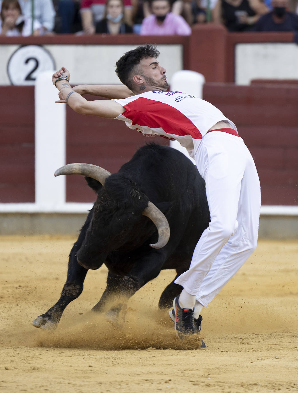 Fotos: Cortes. Liga del Corte Puro en la Plaza de Toros de Valladolid