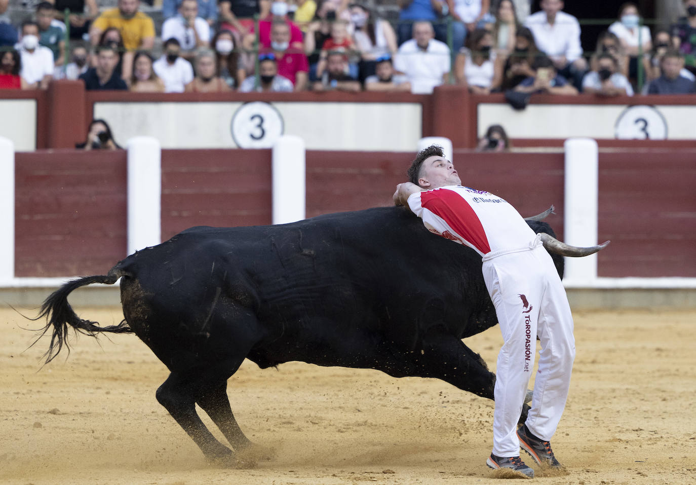 Fotos: Cortes. Liga del Corte Puro en la Plaza de Toros de Valladolid