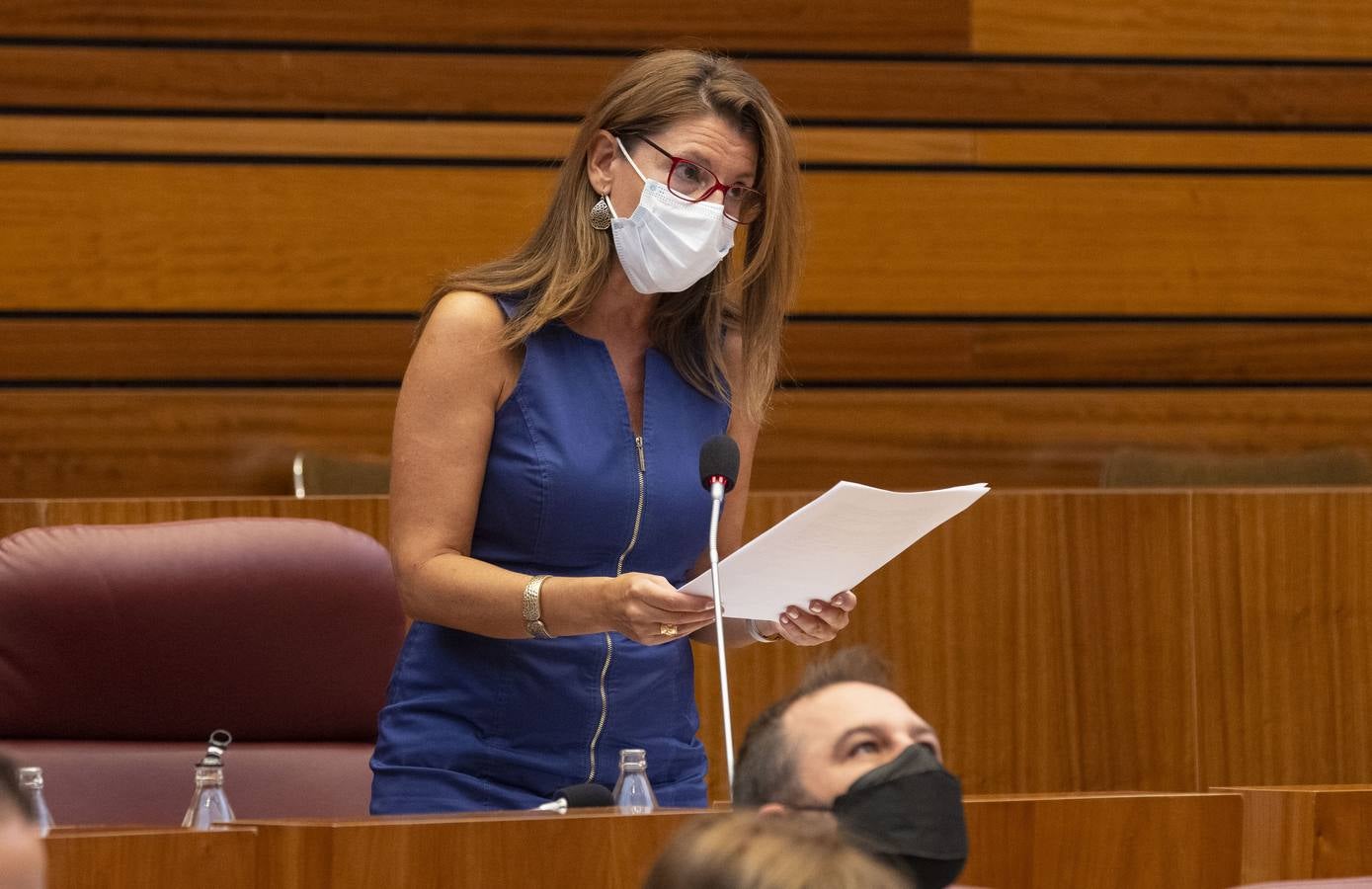 Fotos: Pleno en las Cortes de Castilla y León